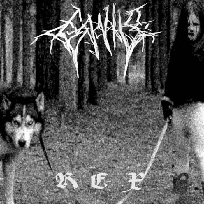 Rex cover