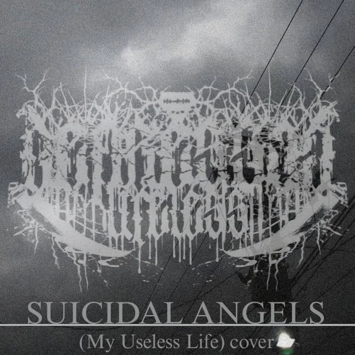 Suicidal Angels cover