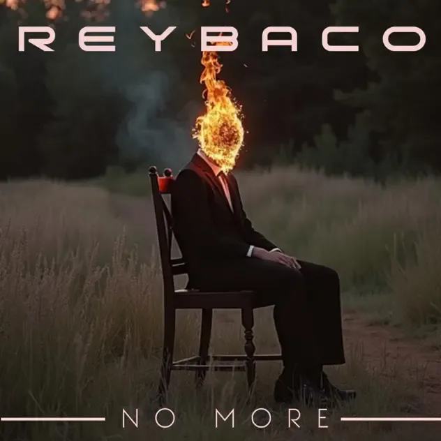 No More cover