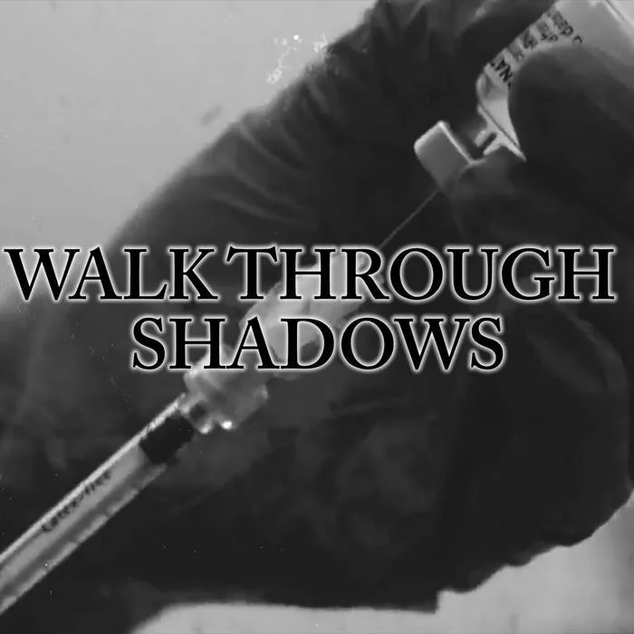 Walk Through Shadows cover