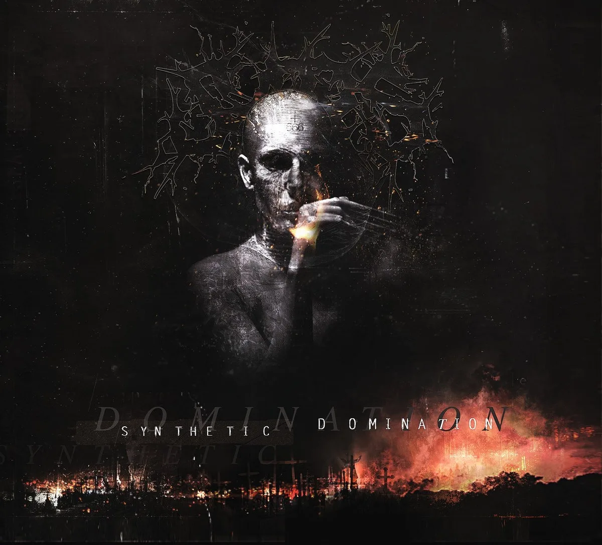 Synthetic Domination cover