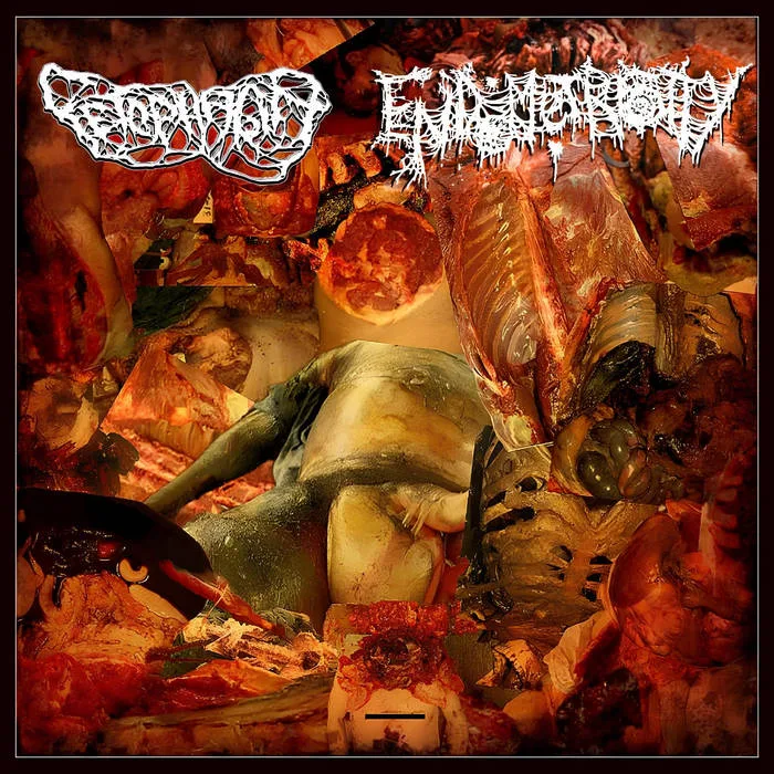 Endometriosity / Fetophagia cover