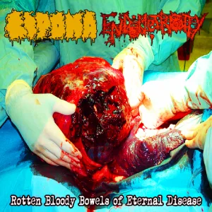 Rotten Bloody Bowels of Eternal Disease cover