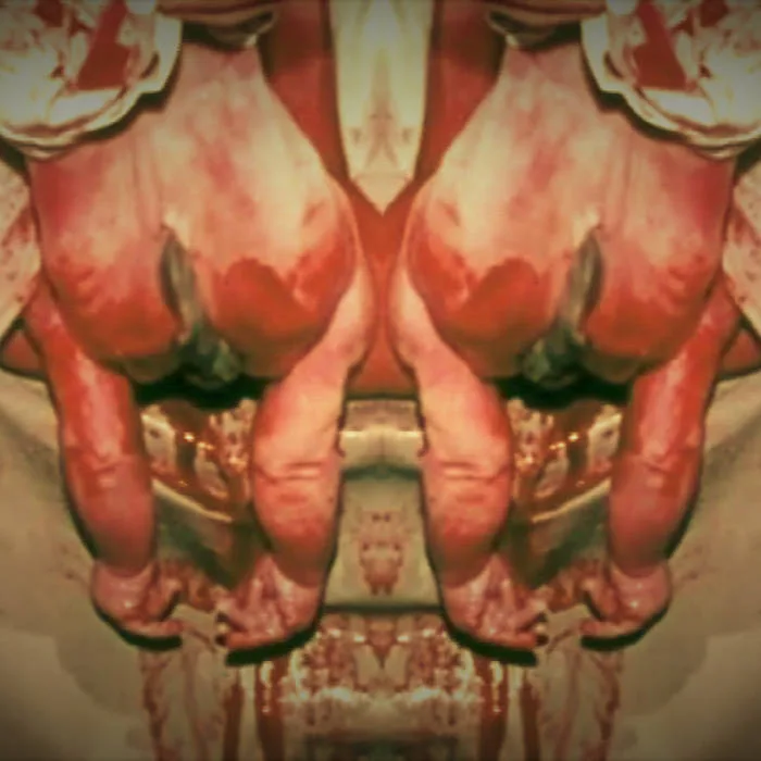 I Shall Come Forth as Gold cover