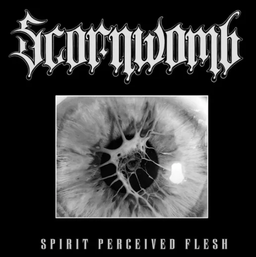 Spirit Perceived Flesh cover