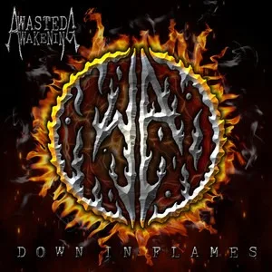 Down in Flames cover