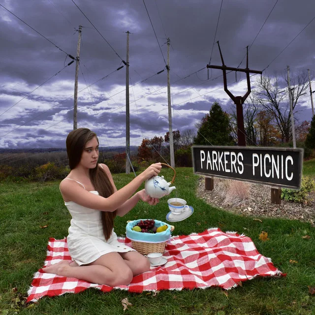 Parkers Picnic cover