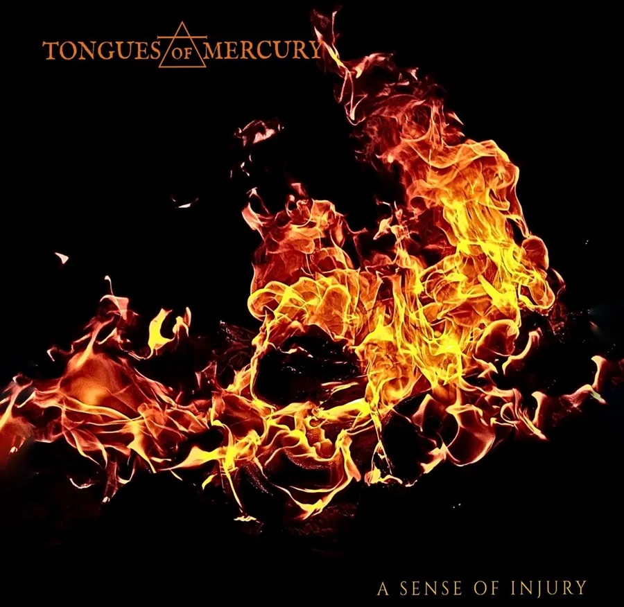 A Sense of Injury cover