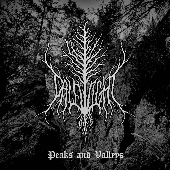 Peaks and Valleys cover