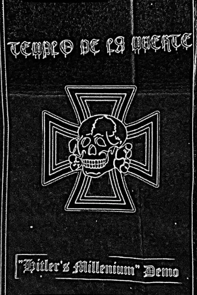 Hitler's Millenium cover