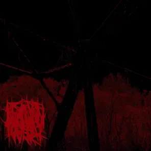 Termination of an Entity cover