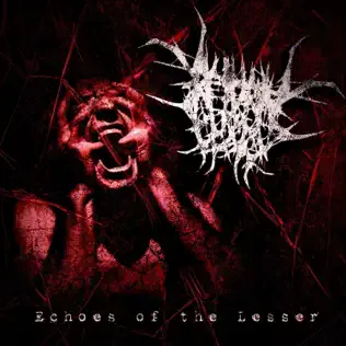 Echoes of the Lesser cover