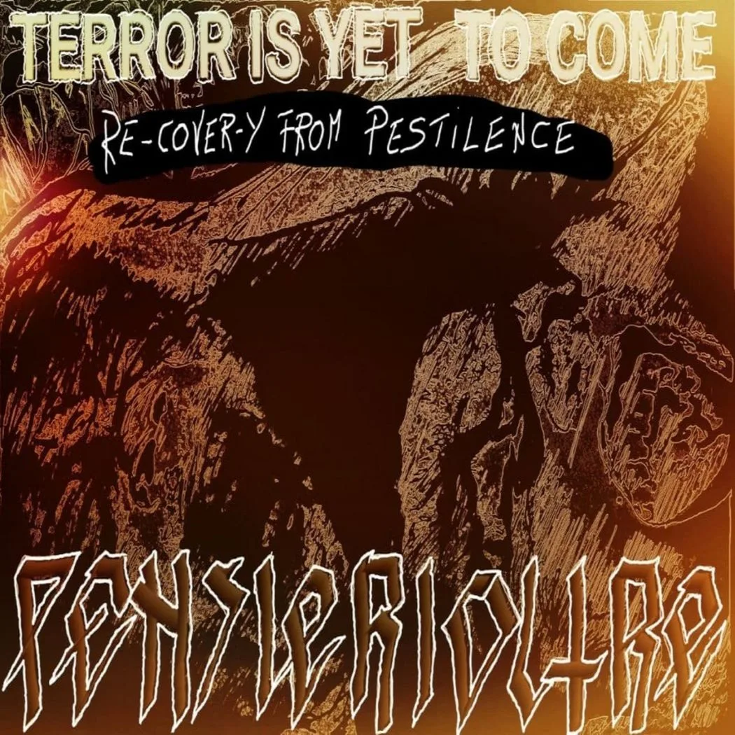 Terror Is yet to Come: Re-cover-y from Pestilence cover