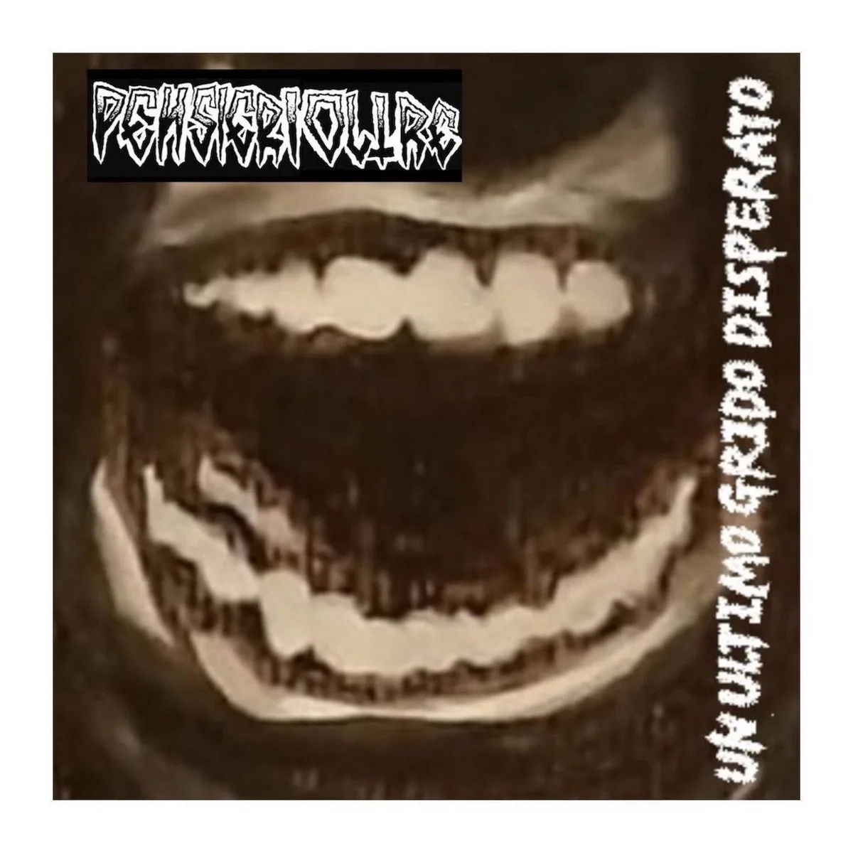 Un ultimo grido disperato cover