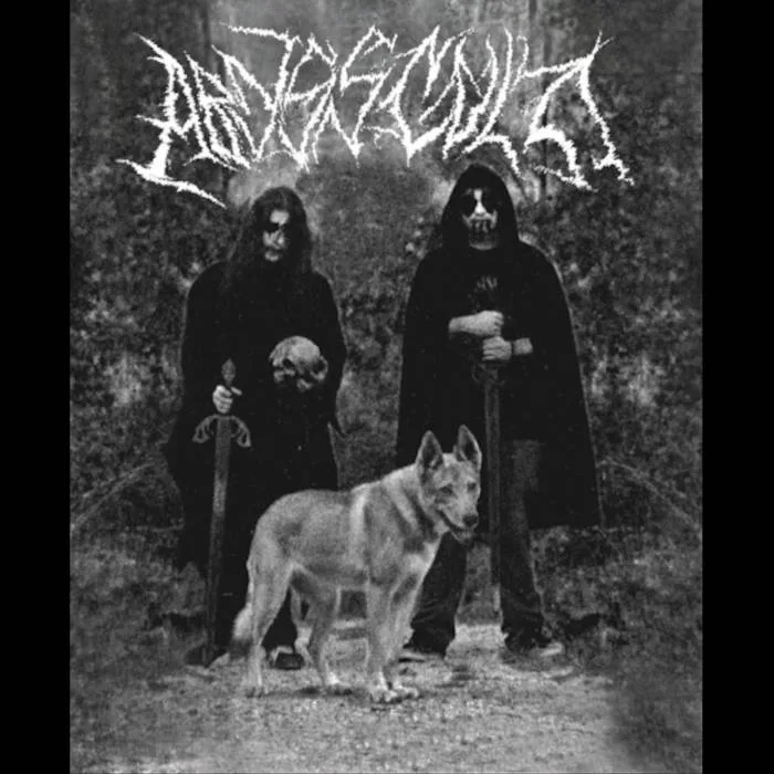 L'ànima del llop inmortal cover