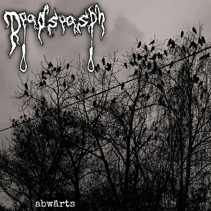 Abwärts (Freitod cover) cover