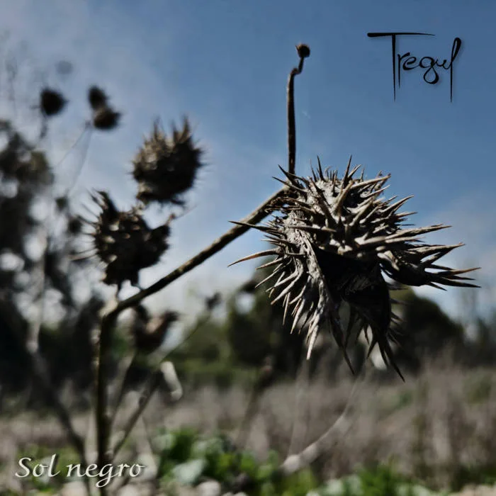 Sol negro cover