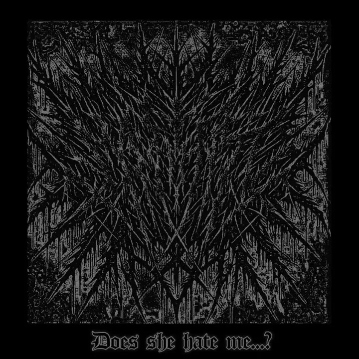 Does She Hate Me...? cover