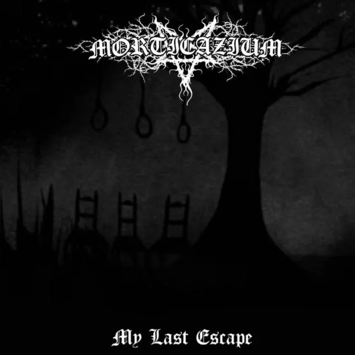 My Last Escape cover