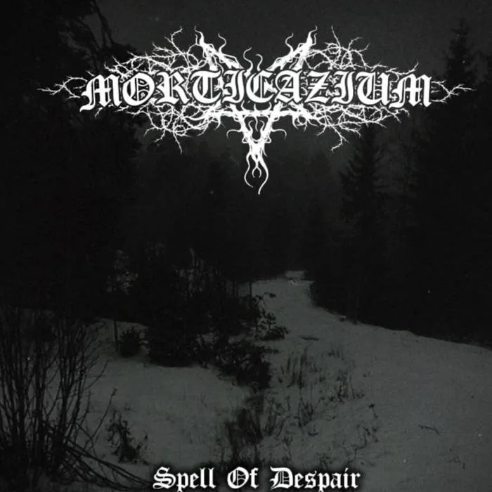 Spell of Despair cover