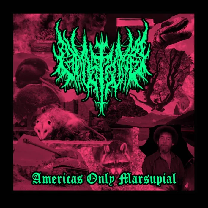 Americas Only Marsupial cover
