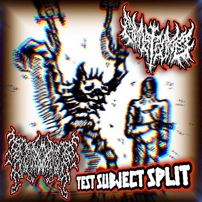 Test Subject Split cover