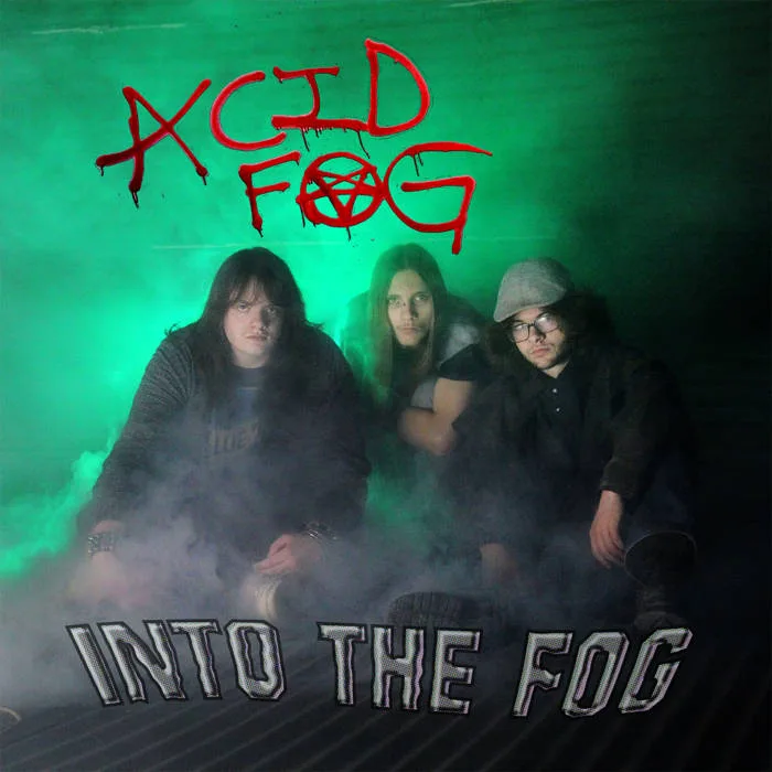 Into the Fog cover