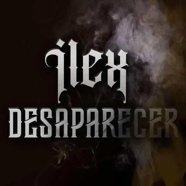 Desaparecer cover