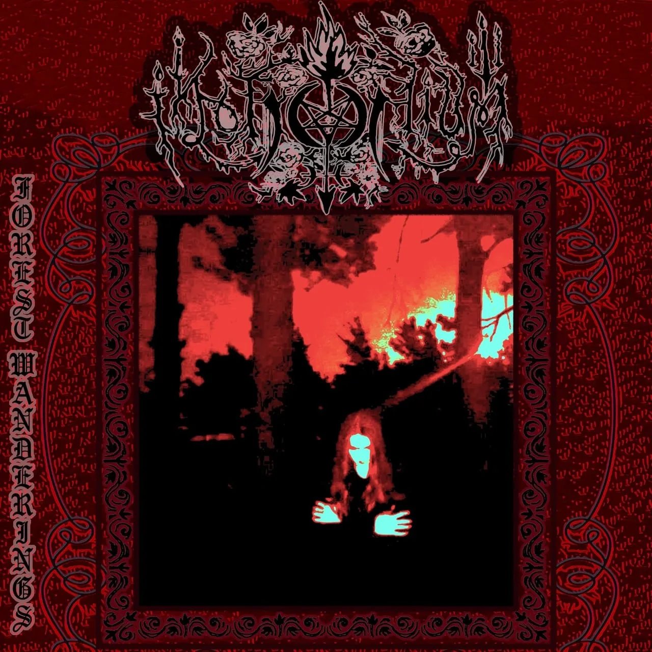 Forest Wanderings cover