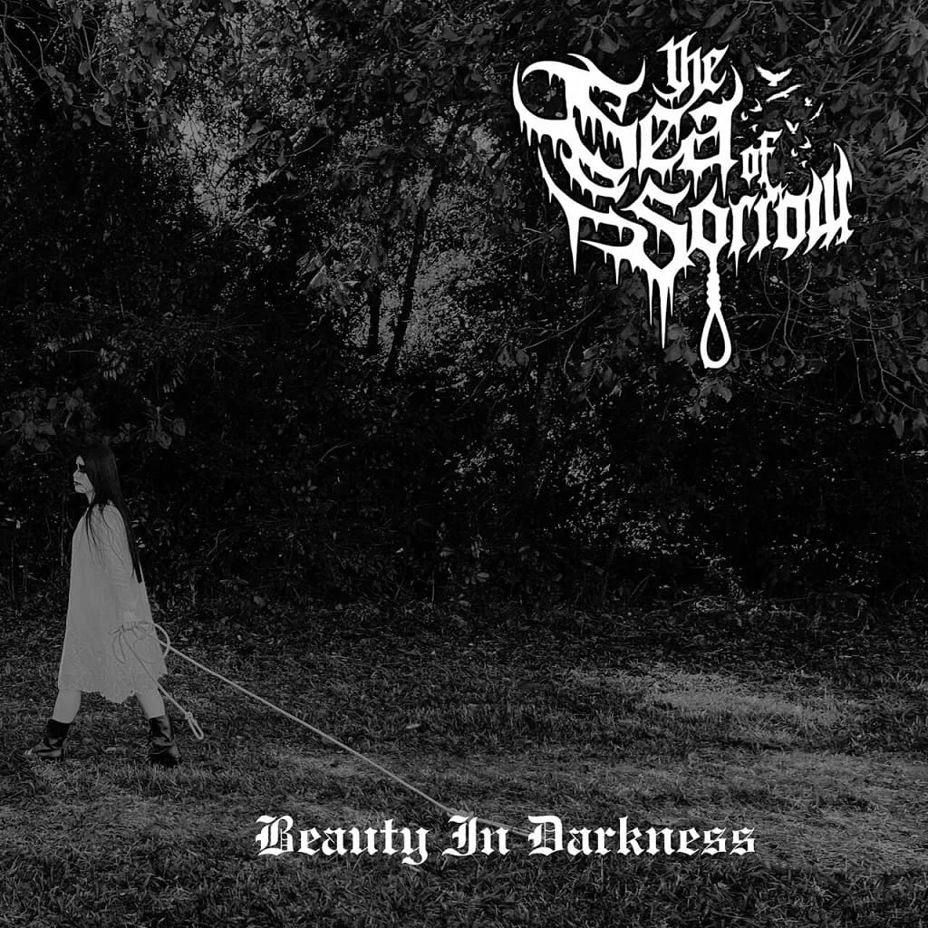 Beauty in Darkness... cover
