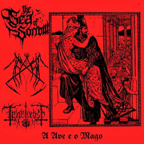 A Ave e o Mago cover