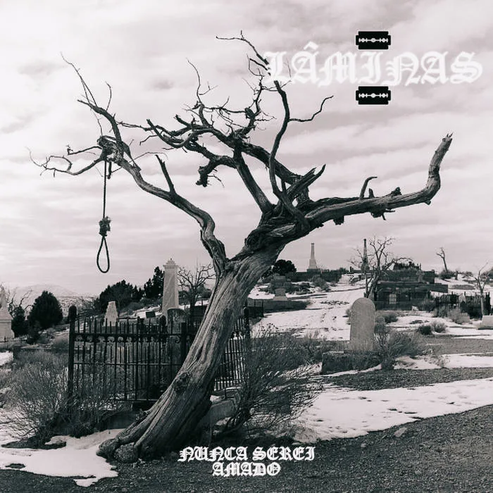 Nunca Serei Amado cover