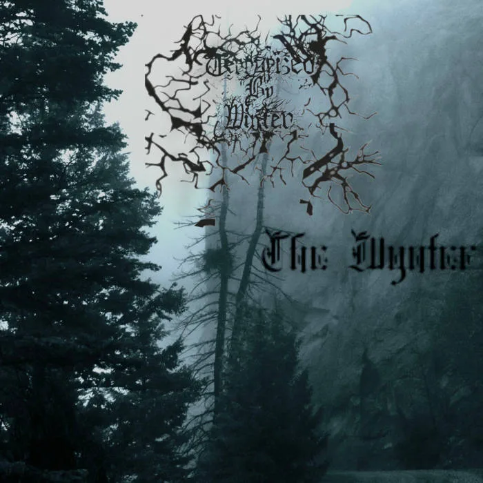 The Wynter cover