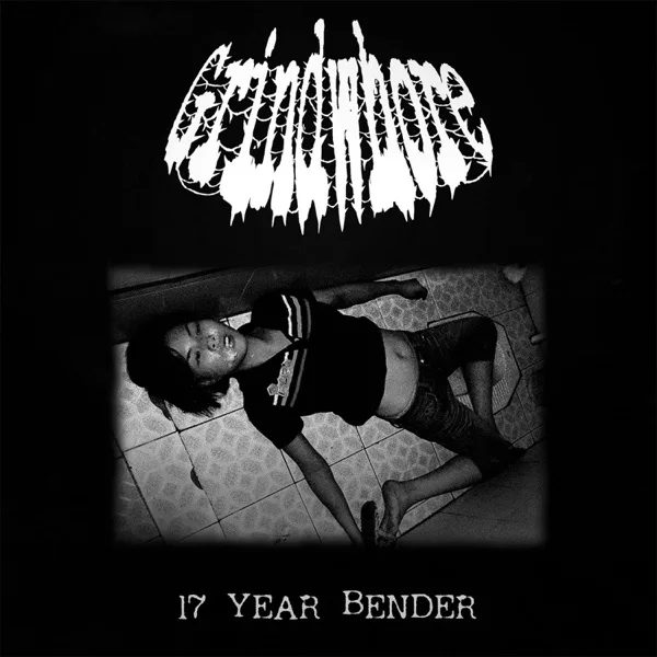 17 Year Bender cover