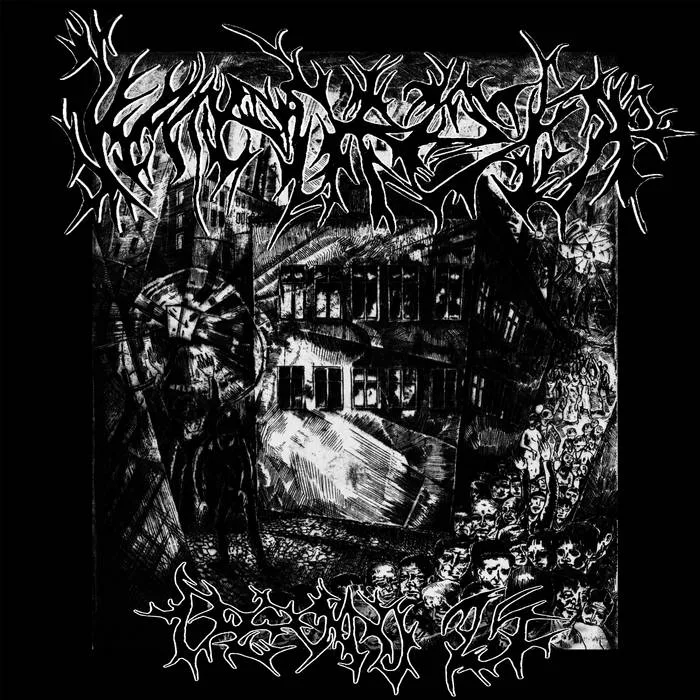 Demo 25" cover