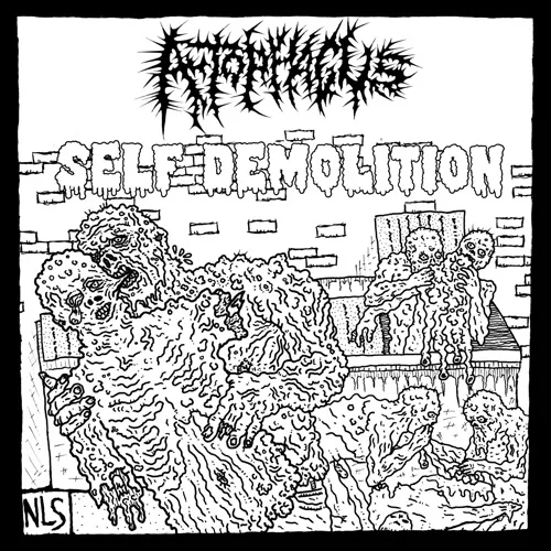 Self-Demolition cover