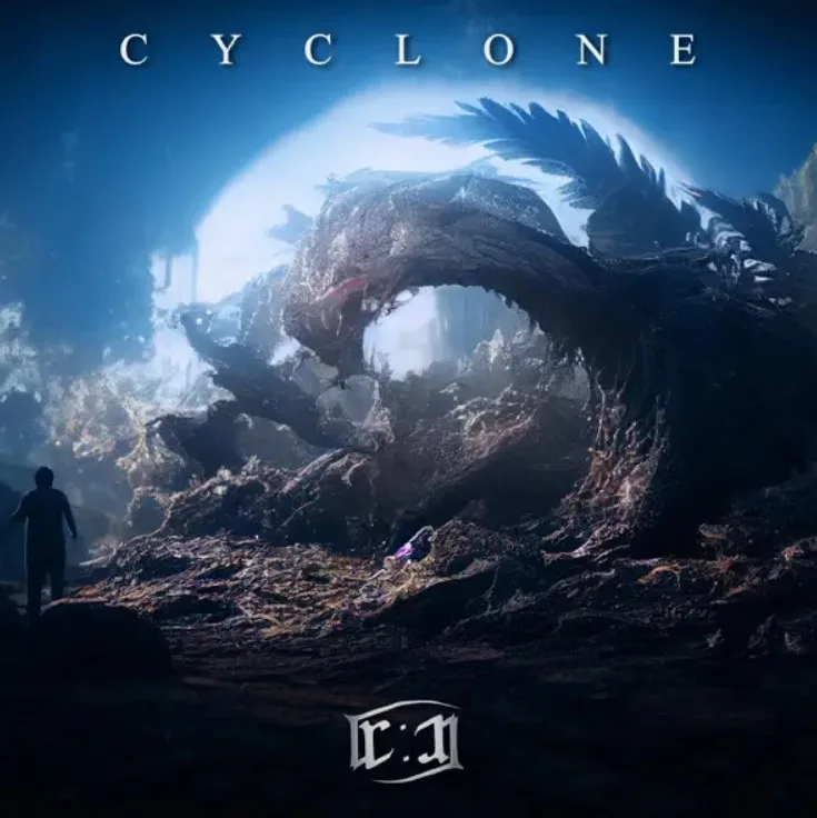 Cyclone cover