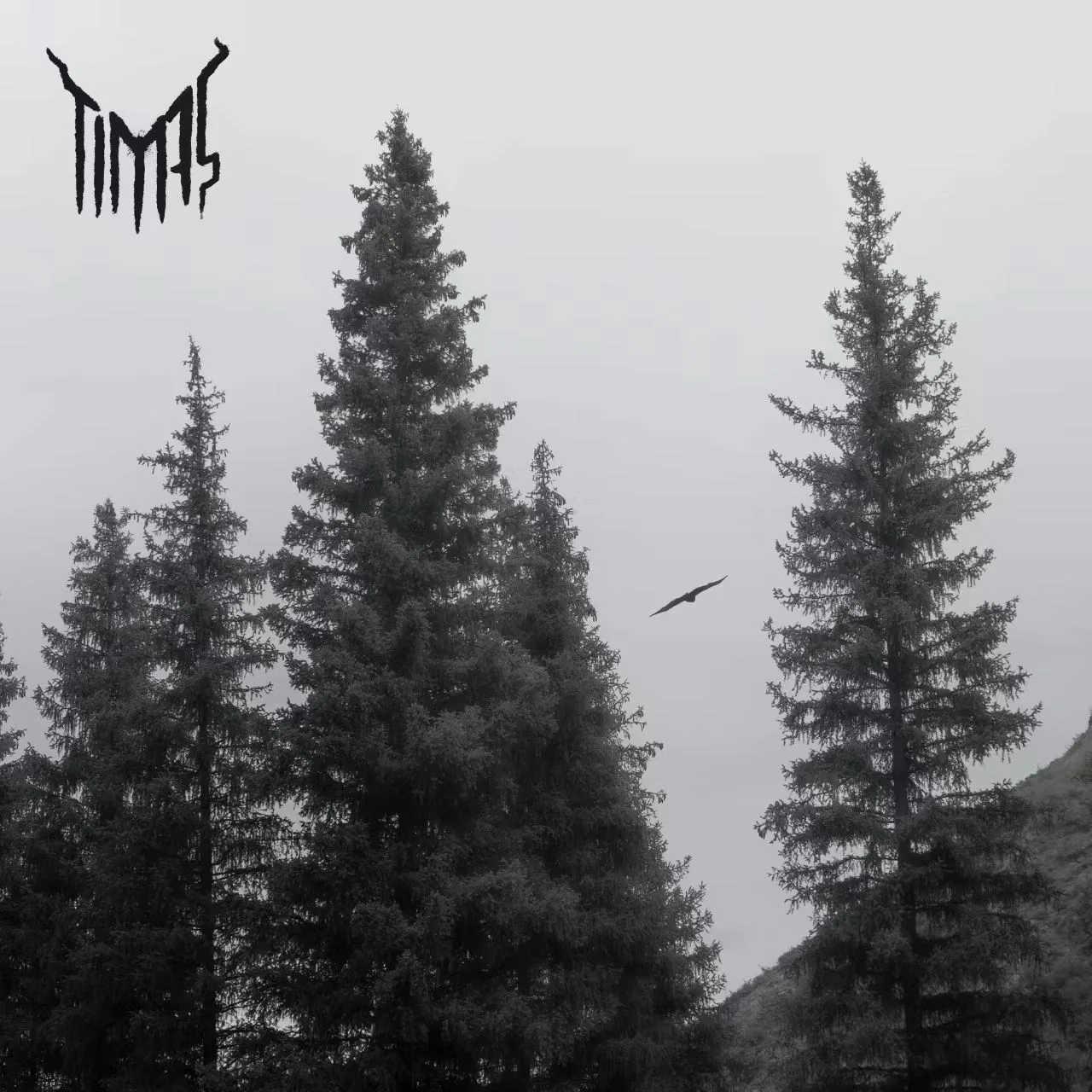Timtas cover
