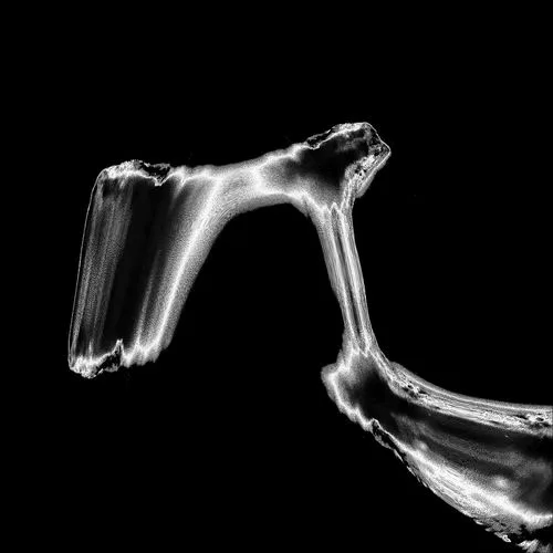 The Sands of Hattin cover