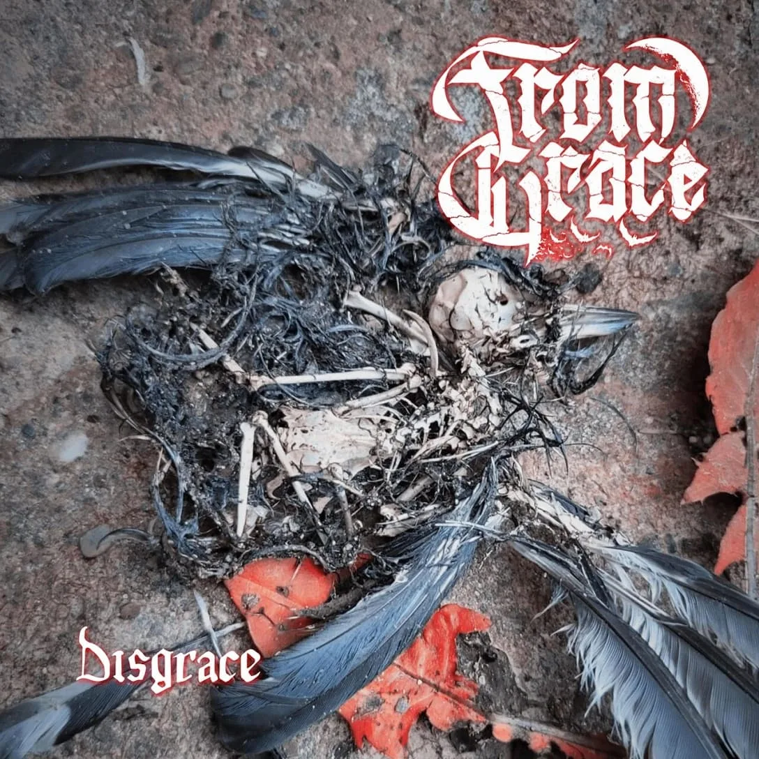 Disgrace cover