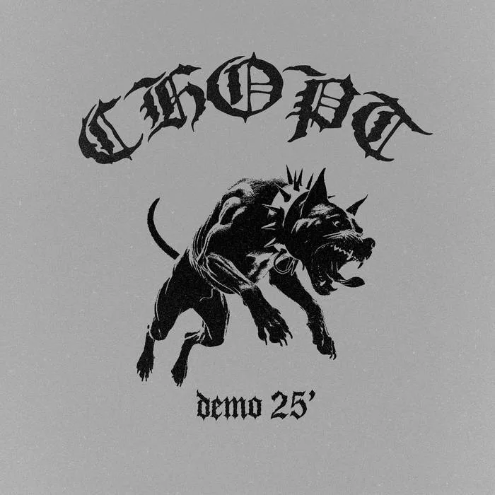 Demo 25' cover