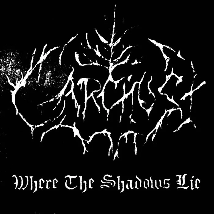 Where the Shadows Lie cover