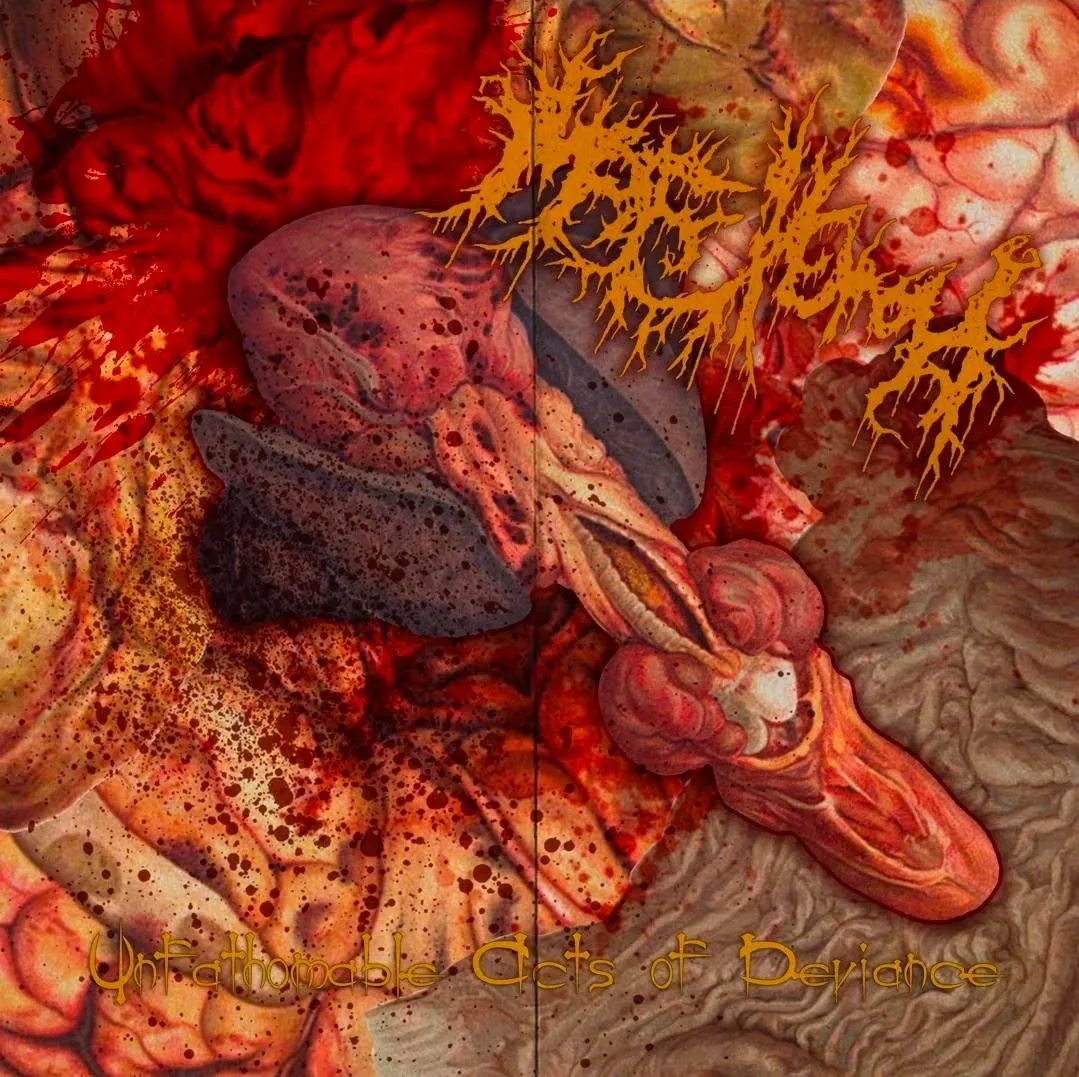 Unfathomable Acts of Deviance cover