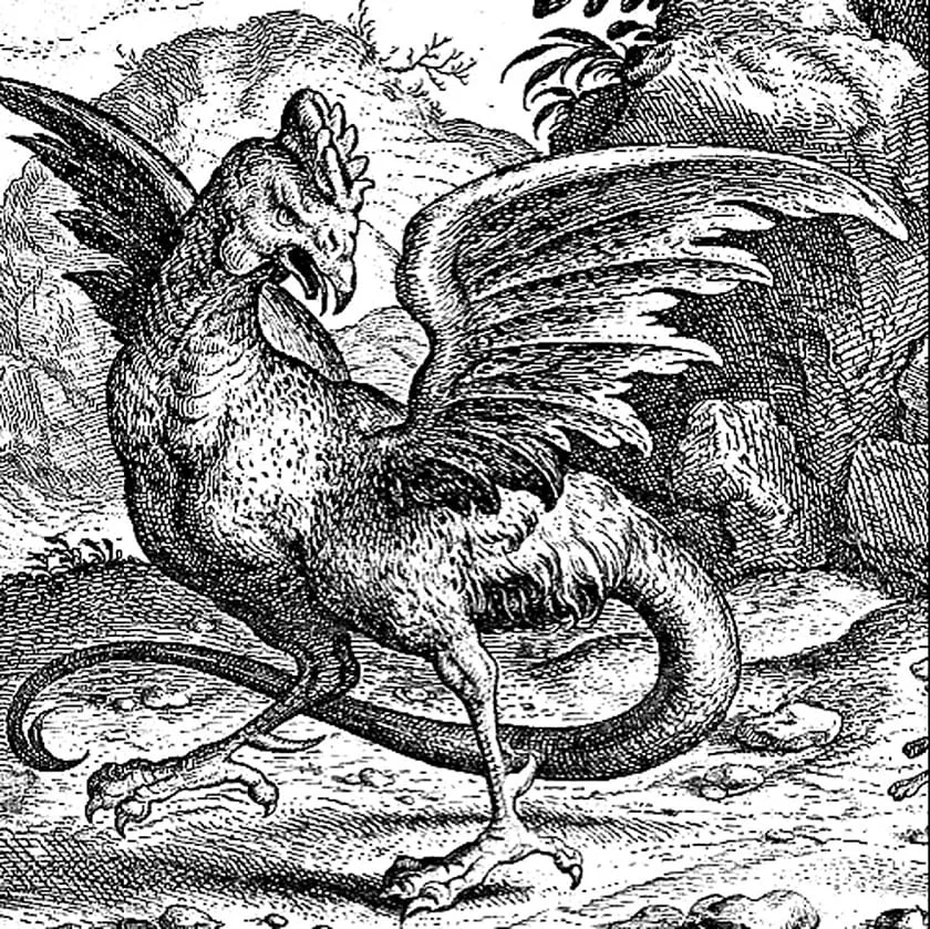 The Cockatrice cover
