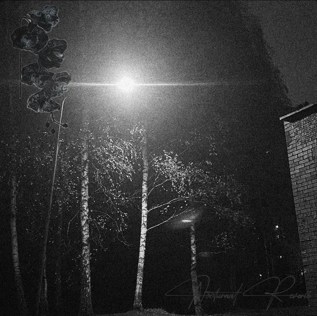 Nocturnal Reverie cover