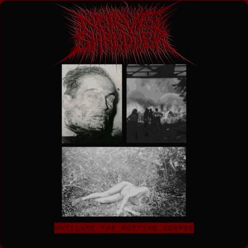 Mutilate the Rotting Corpse cover