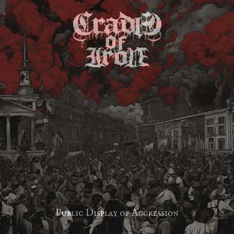 Public Display of Aggression cover
