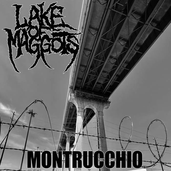 Montrucchio cover