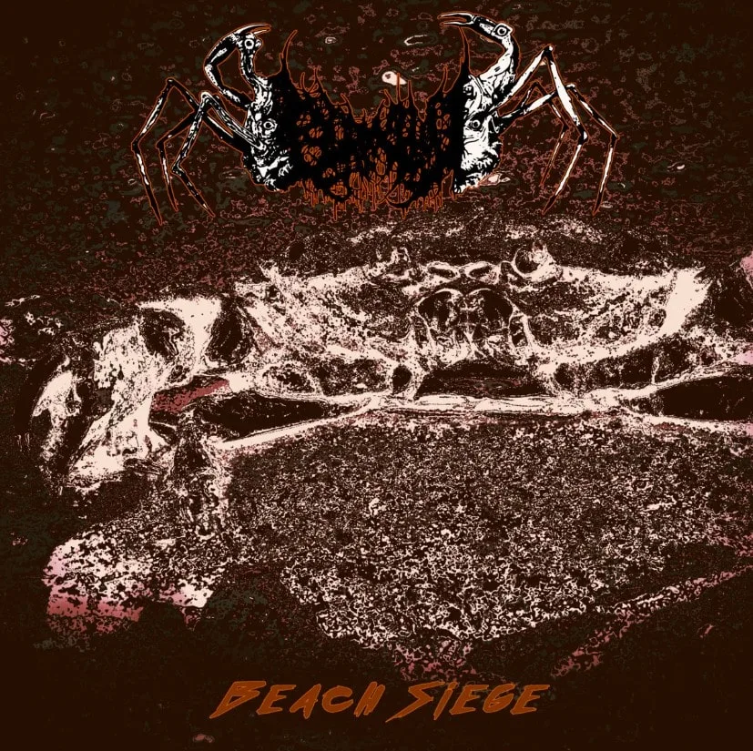 Beach Siege cover