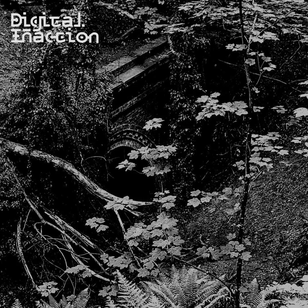 Digital Inaction 1 cover